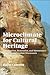 Microclimate for Cultural Heritage: Conservation, Restoration, and Maintenance of Indoor and Outdoor Monuments