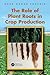 The Role of Plant Roots in Crop Production