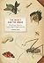Insect and the Image, The: ...