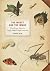 Insect and the Image, The by Janice Neri