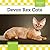 Devon Rex Cats