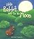 Little Rabit Waits for the Moon