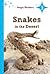 Snakes in the Desert: Level 3