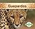 Guepardos / Cheetahs (Grandes Felinos)