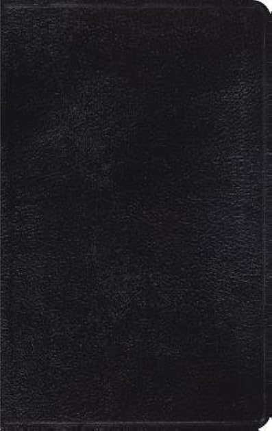 Holy Bible: ESV Bible