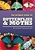 The Ultimate Guide To Butterflies & Moths