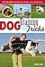 Dog Training & Dog Tricks: The Guide to Raising and Showing a Well-Behaved Dog