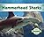 Hammerhead Sharks