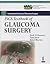 ISGS Textbook of Glaucoma S...