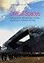 Critical Spaces: Contempora...
