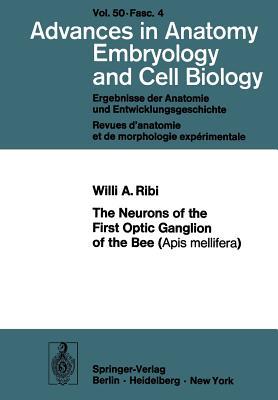 The Neurons of the First Optic Ganglion of the Bee (Apis mellifera) (Advances in Anatomy, Embryology and Cell Biology, 50/4)