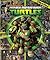 Teenage Mutant Ninja Turtles: Look and Find