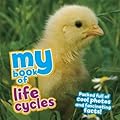 My Little Book of Life Cycles: Packed full of cool photos and fascinating facts!