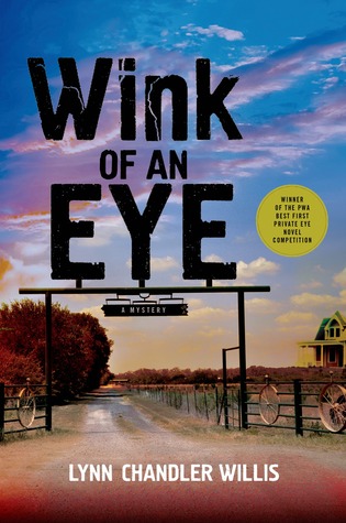 Wink of an Eye (Hardcover)