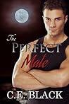 The Perfect Mate (Enduring Kiss, #2 ) The Perfect Mate (Enduring Kiss, #2 )