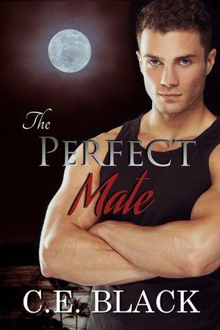 The Perfect Mate (Enduring Kiss, #2 )