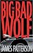The Big Bad Wolf (Alex Cross, #9)