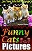 Funny Cats Pictures by Jessica Green