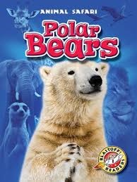 Polar Bears: Animal Safari (Blastoff! Readers)