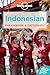 Indonesian Phrasebook & Dictionary (Lonely Planet Phrasebooks)