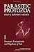 Parasitic Protozoa: I