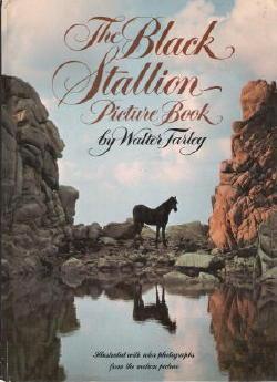 The Black Stallion Picture Book (Illustrated with Color Photographs From The Motion Picture)