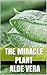 The Aloe Vera Cure: Nature’s Miracle Healer for Gut Health, Chronic Inflammation, and Rapid Skin Repair