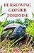 Burrowing Gopher Tortoise