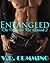 Entangled (The Vampire's Pet, #2)