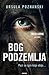 Bog podzemlja