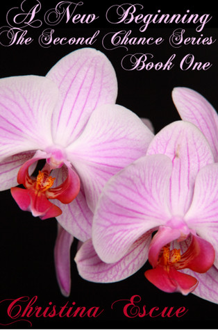 A New Beginning (The Second Chance #1)