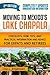 Moving to Mexico's Lake Chapala