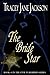 The Bride Star (Civil War Brides, #6)