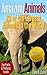 The Amazing Animals by Cera D. Colby