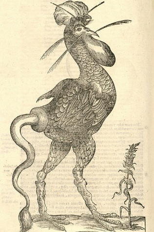 Un destino de pollo (ebook)