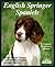 English Springer Spaniels