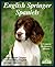 English Springer Spaniels
