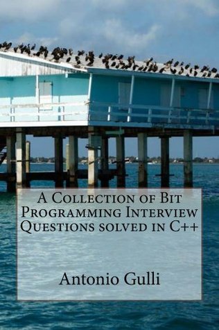 A Collection of Bit Programming Interview Questions solved in C++ (Kindle Edition)