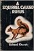 A Squirrel Called Rufus