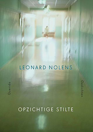 Opzichtige stilte (Paperback)
