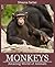 Monkeys and Apes (Amazing World of Animals Book 1)