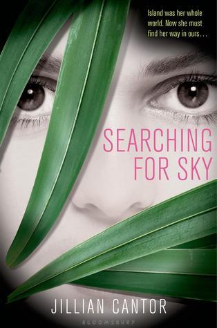 Capa do Livro Searching for Sky