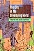 The City in the Developing World by Robert B. Potter