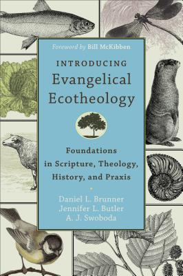 Introducing Evangelical Ecotheology: Foundations in Scripture, Theology, History, and Praxis (Paperback)