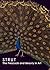 Strut: The Peacock and Beau...