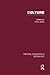 Culture:Crit Concepts Vol3