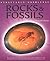 Rocks & Fossils