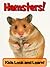 Hamsters! Learn About Hamsters and Enjoy Colorful Pictures - Look and Learn! (50+ Photos of Hamsters)