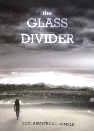 The Glass Divider