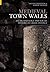 Medieval Town Walls: An Arc...